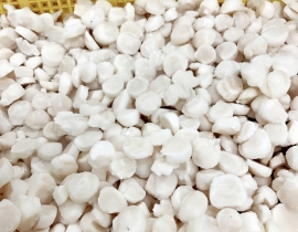 CỒI SÒ ĐIỆP - BAO TRẮNG